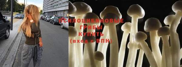 дживик Остров
