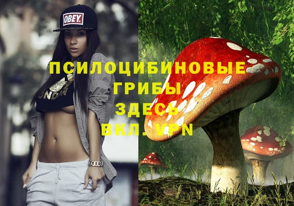 герыч Осташков