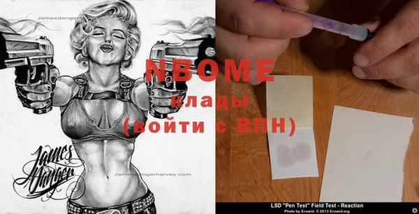 дмт Осинники
