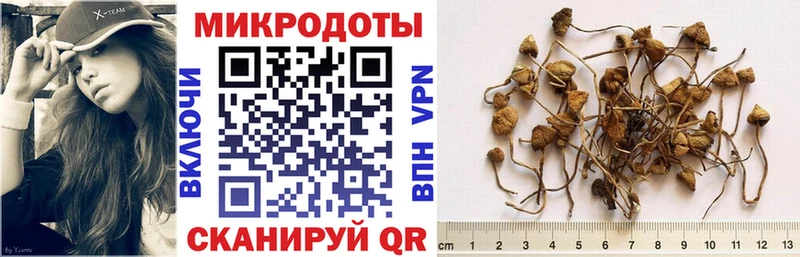Галлюциногенные грибы ЛСД  Боровск 