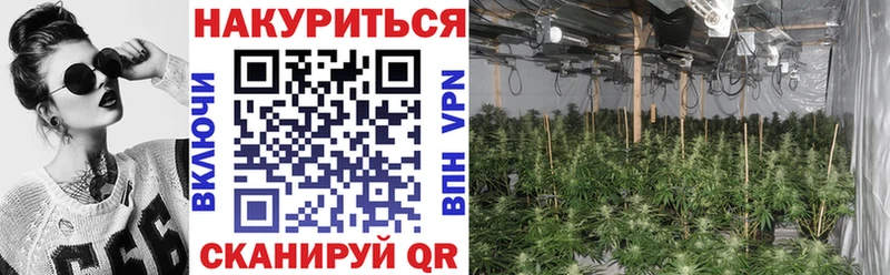 купить закладку ссылка на мегу онион shop телеграм Боровск Шишки марихуана план